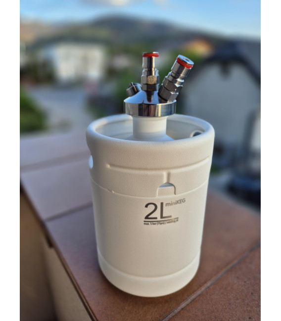 Mini keg 2 L single wall jolly head white