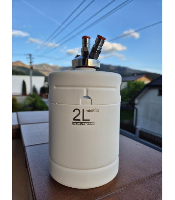 Mini keg 2 L white jolly