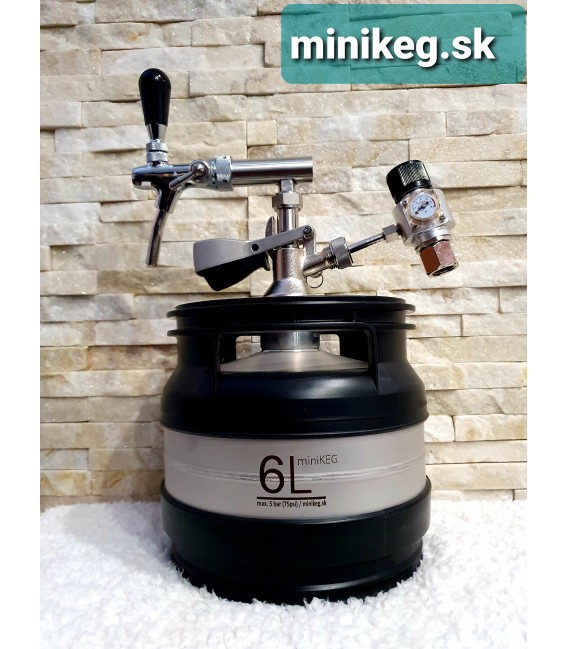 6L A type bottom minikeg SS ready with profi tap with compensator