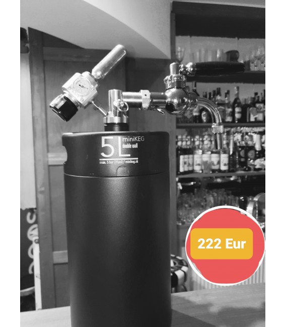 Minikeg 5 L DOUBLE WALL for beer + profi 1 + twist tube and faucet with control flow