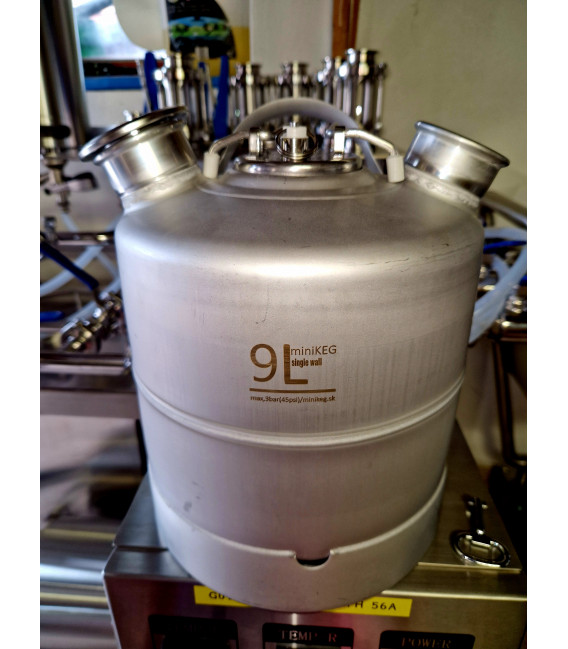 Minikeg 9 L cleaning Keg with 2 heads